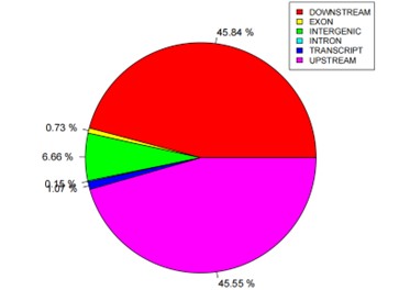 Pie chart illustrating InDel annotation statistics.