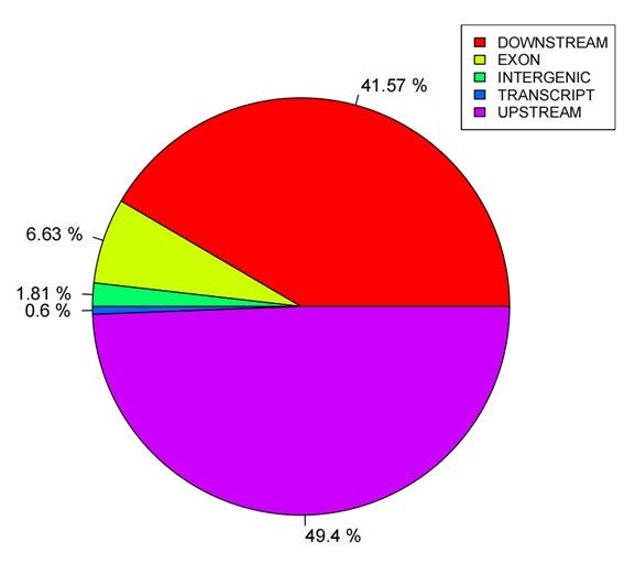 Pie chart showing SNP annotation statistics.