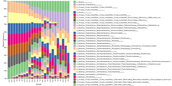 Taxonomy distribution of samples at the Phylum classification level.