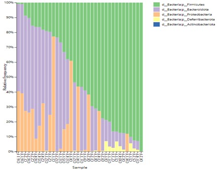 Taxonomy distribution at Phylum classification level.