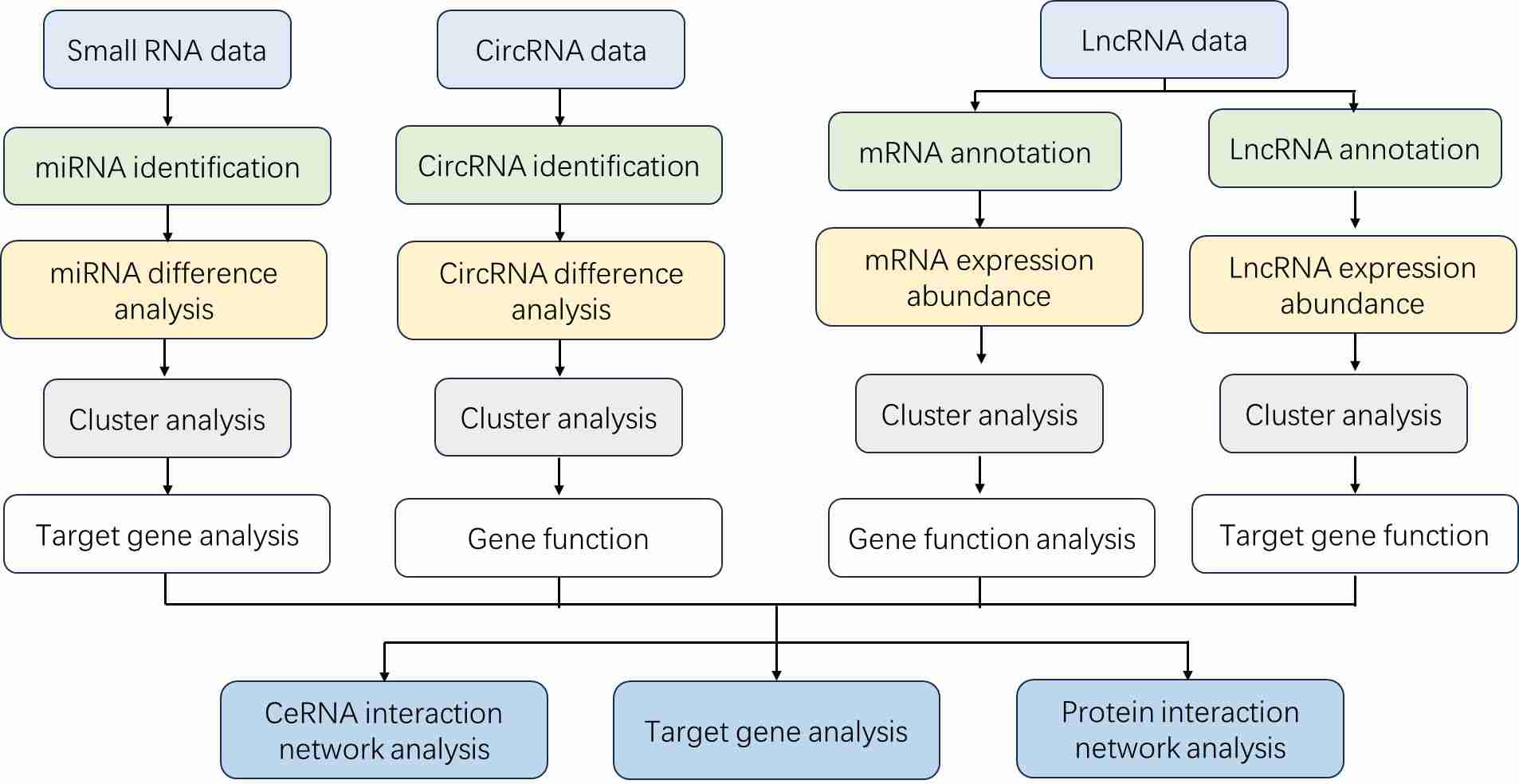The Data Analysis Pipeline of Total RNA Sequencing.