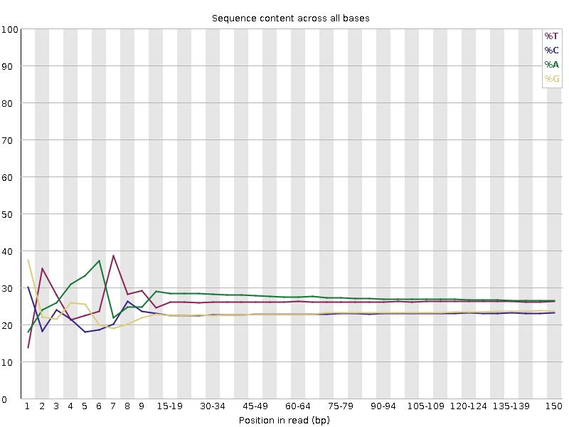 Nucleotide distribution chart for A, T, G, and C bases