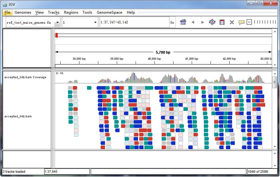 Genome visualization in IGV browser with sample data