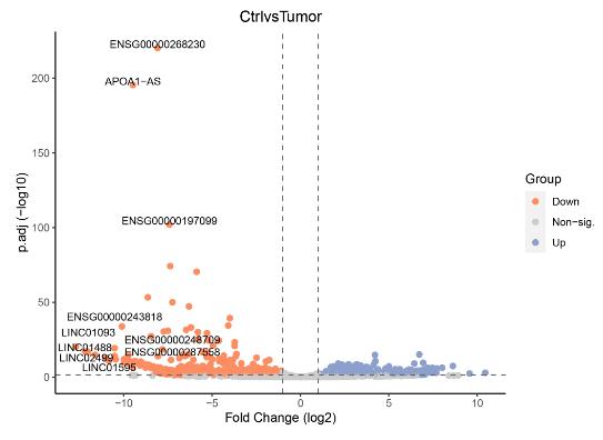 Volcano plot of differentially expressed gene analysis
