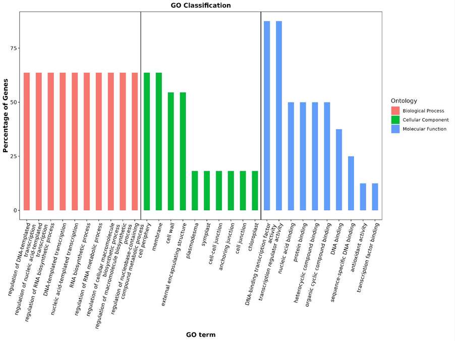 GO annotation statistics showing category breakdowns