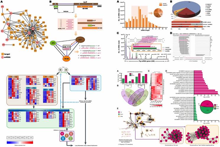 Transcriptomic Data Analysis Results Display Image.