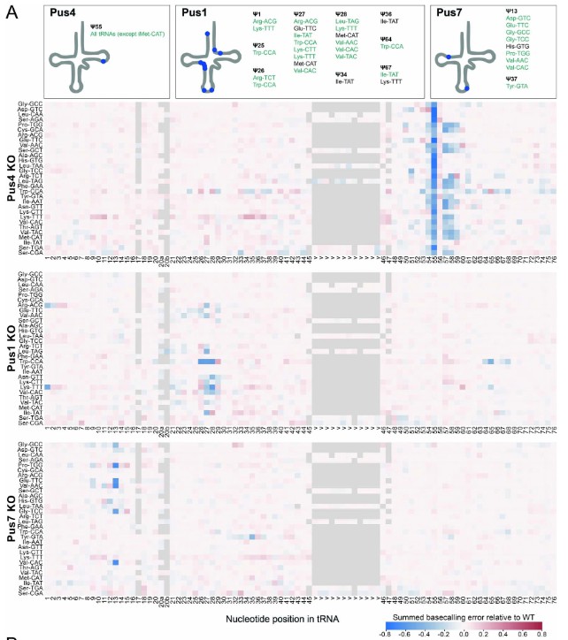 alongside modification interdependency findings