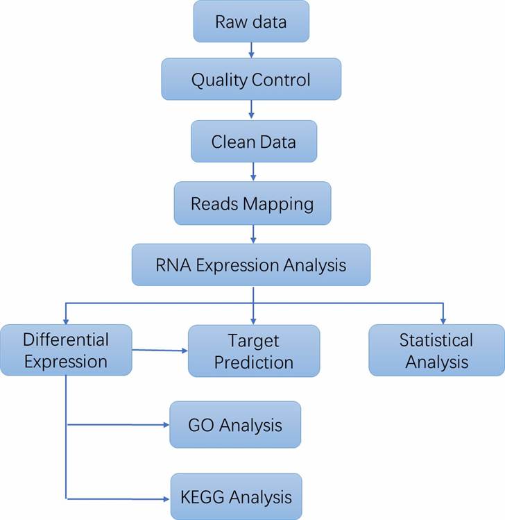 The Data Analysis Pipeline of Ultra Low RNA Sequencing.