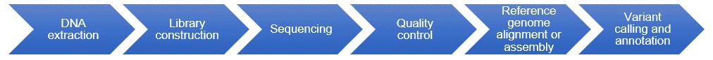 The Workflow of Variant Calling.