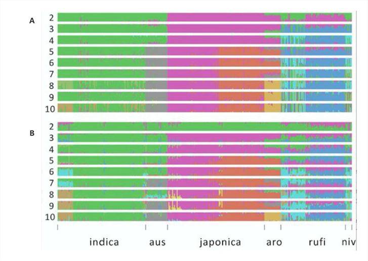 Figure 3: Genetic Composition of Rice. (Yixuan et al., 2020)