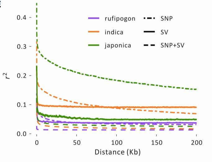 Figure 5: Analysis of Linkage Disequilibrium. (Yixuan et al., 2020)