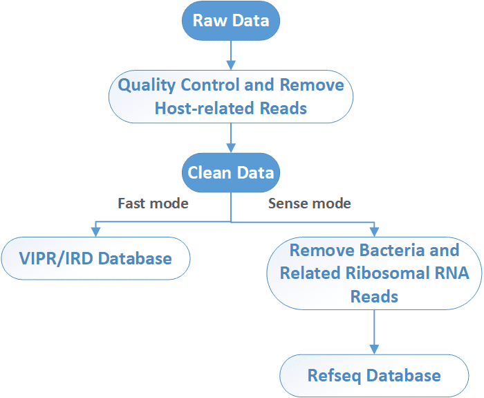The Data Analysis Pipeline of Viral Metagenomic Sequencing