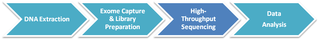 Workflow Diagram of Whole Exome Sequencing.