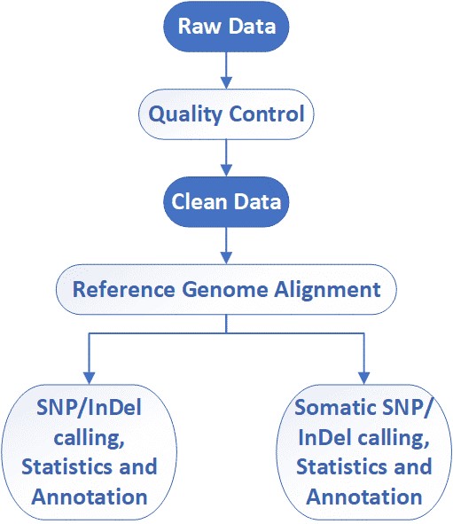 The Data Analysis Pipeline of Whole Exome Sequencing.