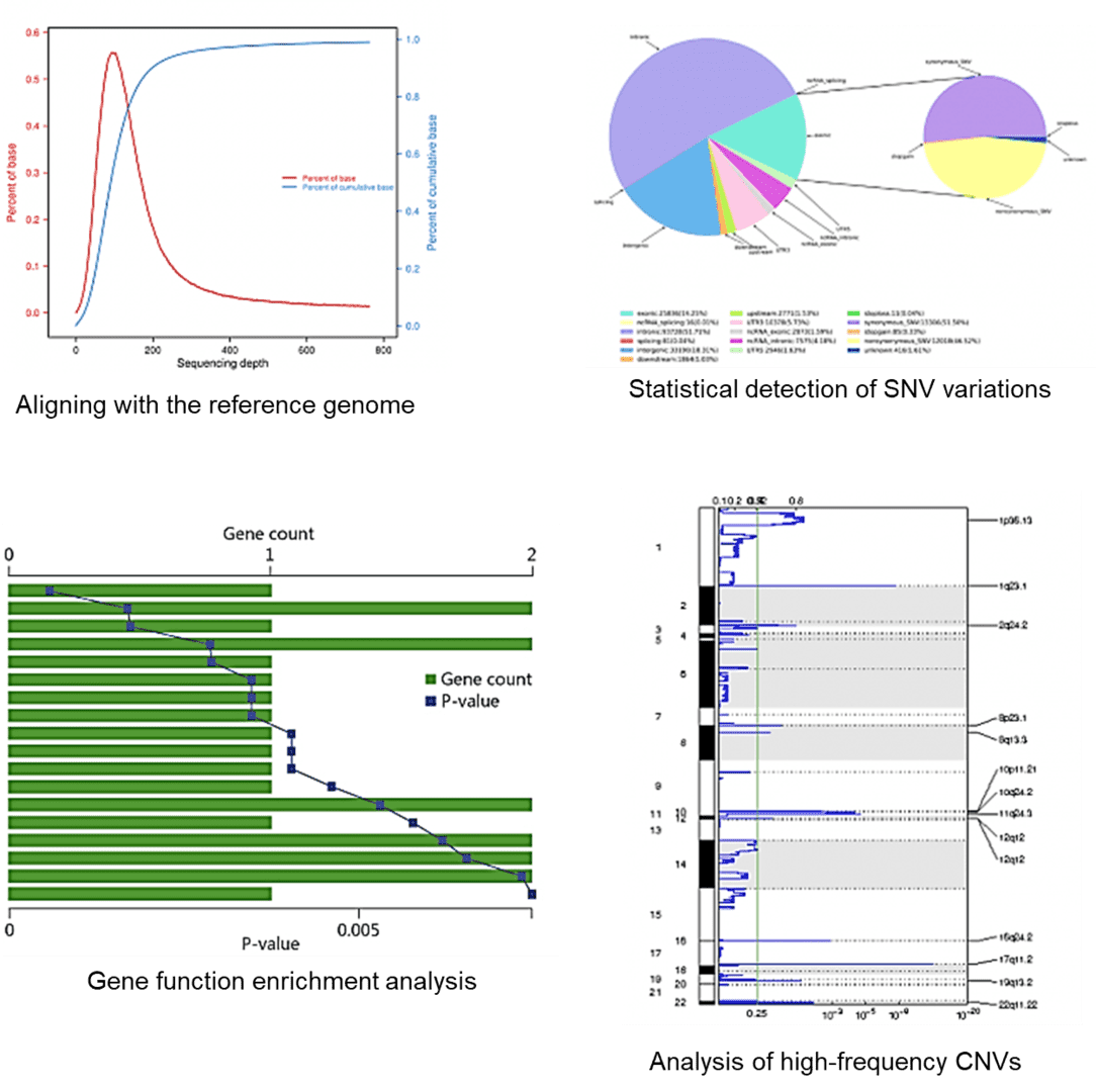 The Whole Exome Sequencing Results Display Figure. 