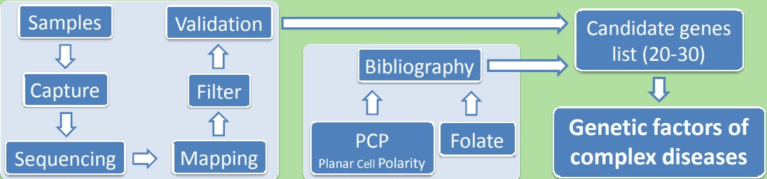 Figure 1. Utilization of whole exome sequencing in a multifaceted disease.