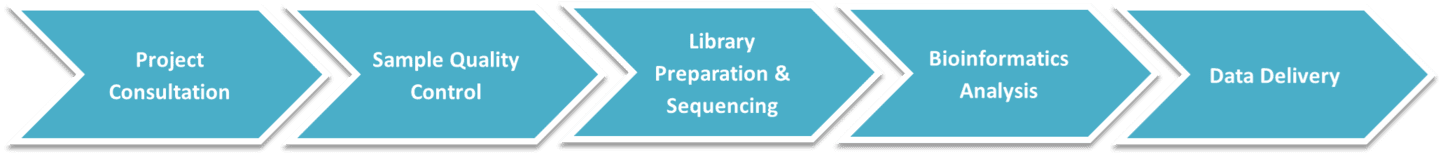 Overview of the workflow for whole genome sequencing services.