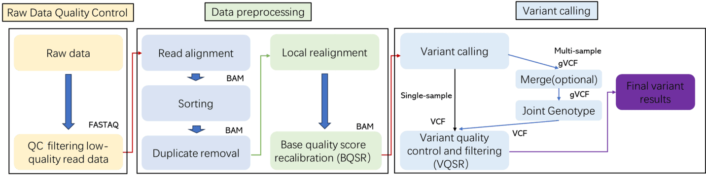 Pipeline for bioinformatics analysis in whole genome sequencing.