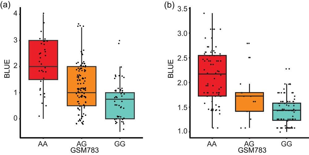 SNP marker GSM783 associated with disease severity (BLUE values) in F2:3 and recombinant inbred line populations.