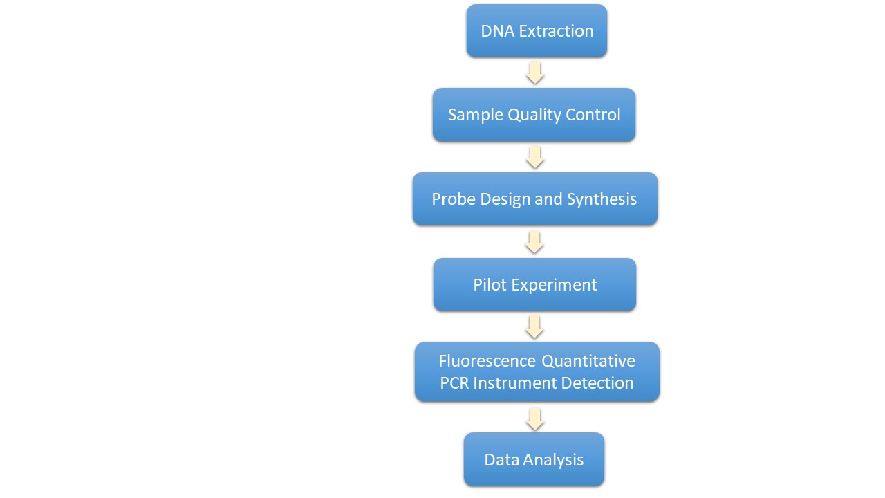 Workflow Diagram of TaqMan SNP Genotyping.