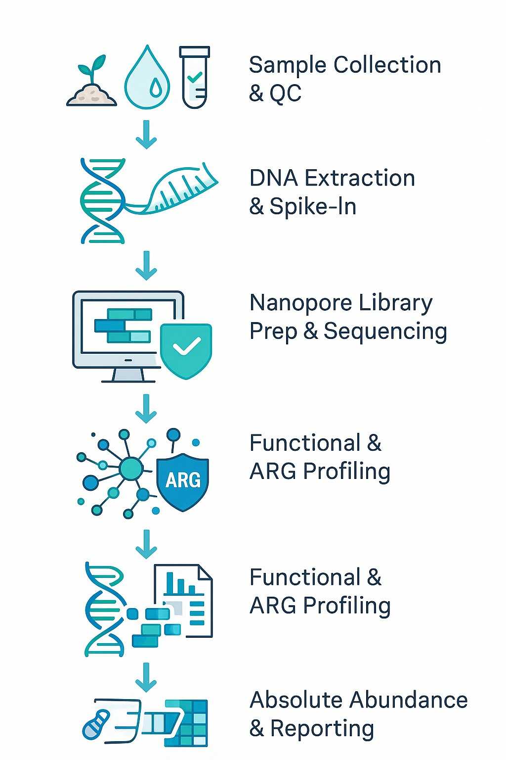 Absolute metagenomic sequencing workflow infographic showing sample to reporting process