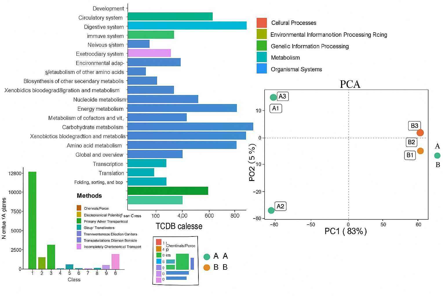 Absolute metagenomic sequencing results with KEGG pathway, TCDB transporter classification, and PCA analysis