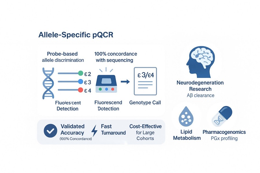 Information card showing the CD Genomics APOE Genotyping AS-qPCR platform, illustrating how it resolves HRM ambiguity and provides rapid, accurate results.