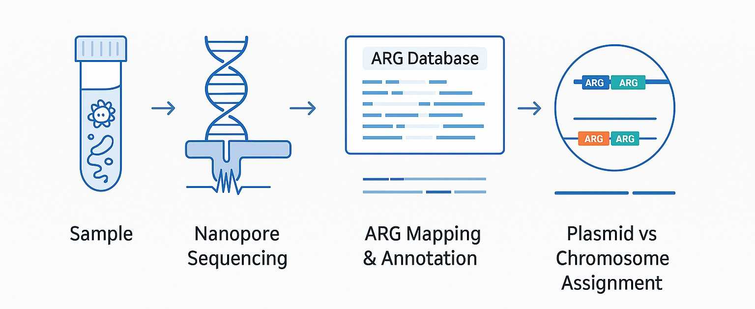 Antibiotic resistance gene analysis pipeline showing sample input, sequencing, ARG mapping and plasmid vs chromosome assignment