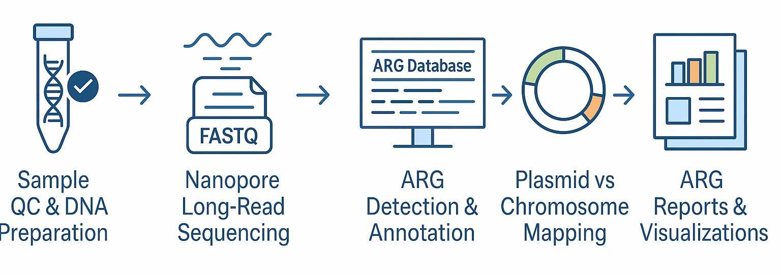 Antibiotic resistance gene analysis workflow showing sample QC, sequencing, ARG detection, plasmid mapping, and reporting