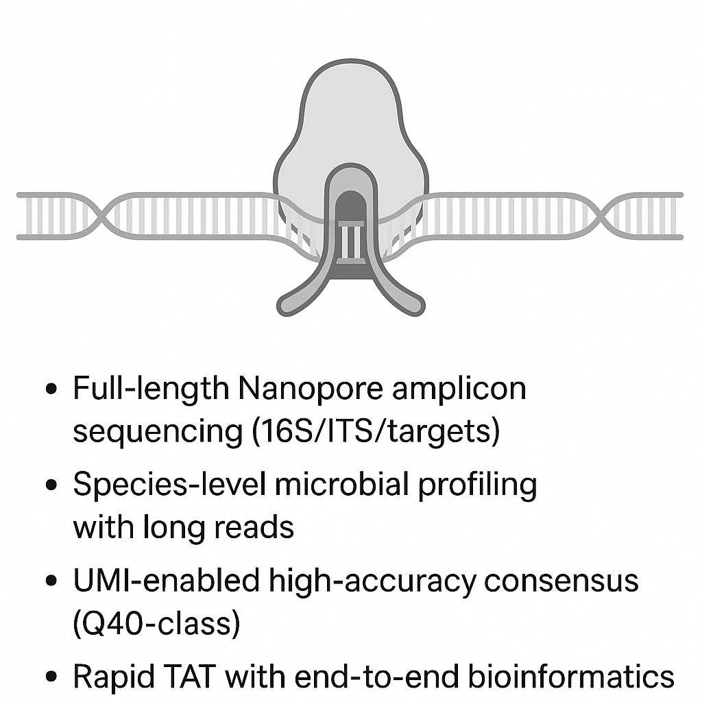 Nanopore amplicon sequencing schematic showing DNA passing through a nanopore with bullet points describing service features.