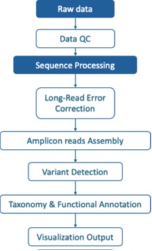 Pipeline for bioinformatics analysis in whole genome sequencing.