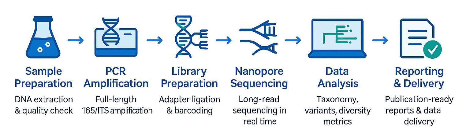 Horizontal workflow diagram of Nanopore Amplicon Sequencing Service 