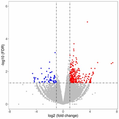 A volcano plot showing differential isoform expression. 
