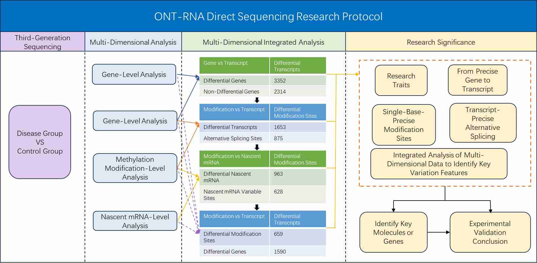 Flowchart of Nanopore Direct RNA-seq analysis: gene/isoform/modification/nascent modules feed joint analyses to identify key molecules for validation.