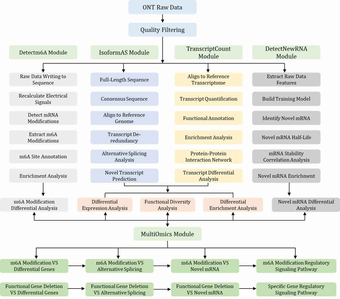 Flowchart of Nanopore Direct RNA-seq analysis: gene/isoform/modification/nascent modules feed joint analyses to identify key molecules for validation.