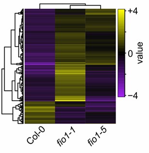 A heatmap visualizing differential isoform expression. 