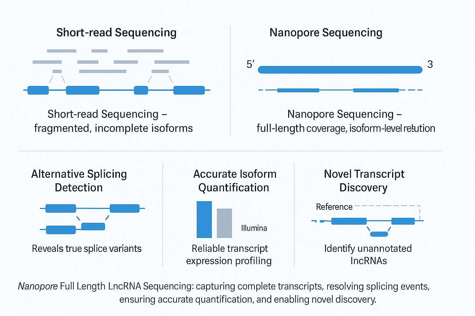 Nanopore full length lncRNA sequencing infographic comparing short-read and Nanopore platforms with advantages in isoform resolution, splicing detection, quantification, and novel transcript discovery