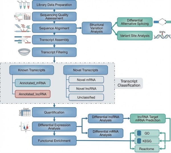Pipeline for bioinformatics analysis in whole genome sequencing.