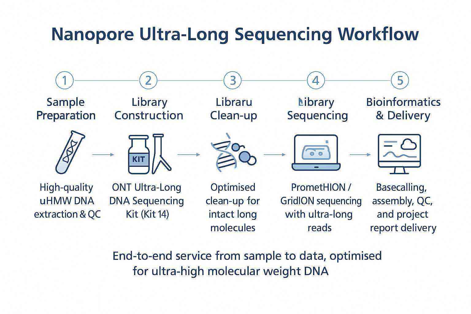 Nanopore ultra long sequencing workflow from sample preparation to bioinformatics delivery