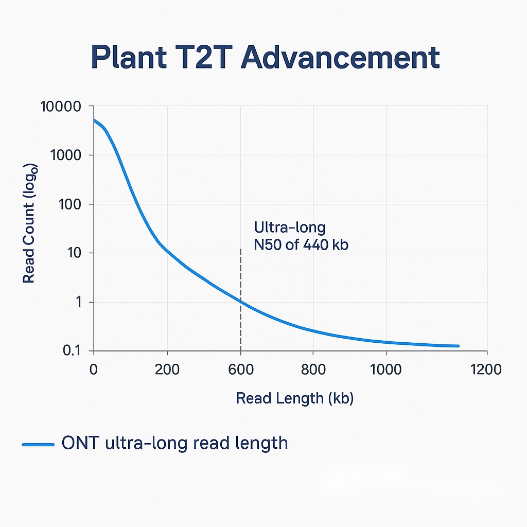 Optimised ultra long sequencing delivers plant T2T assemblies with read length N50 up to 440 kb.