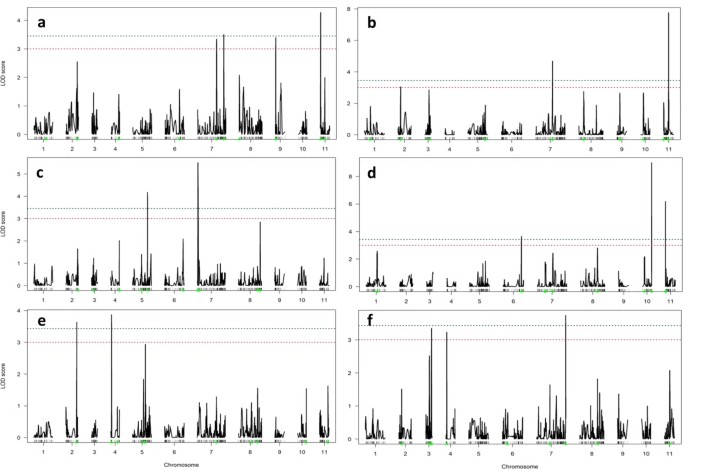QTL-seq composite interval mapping of yield-related traits in mungbean