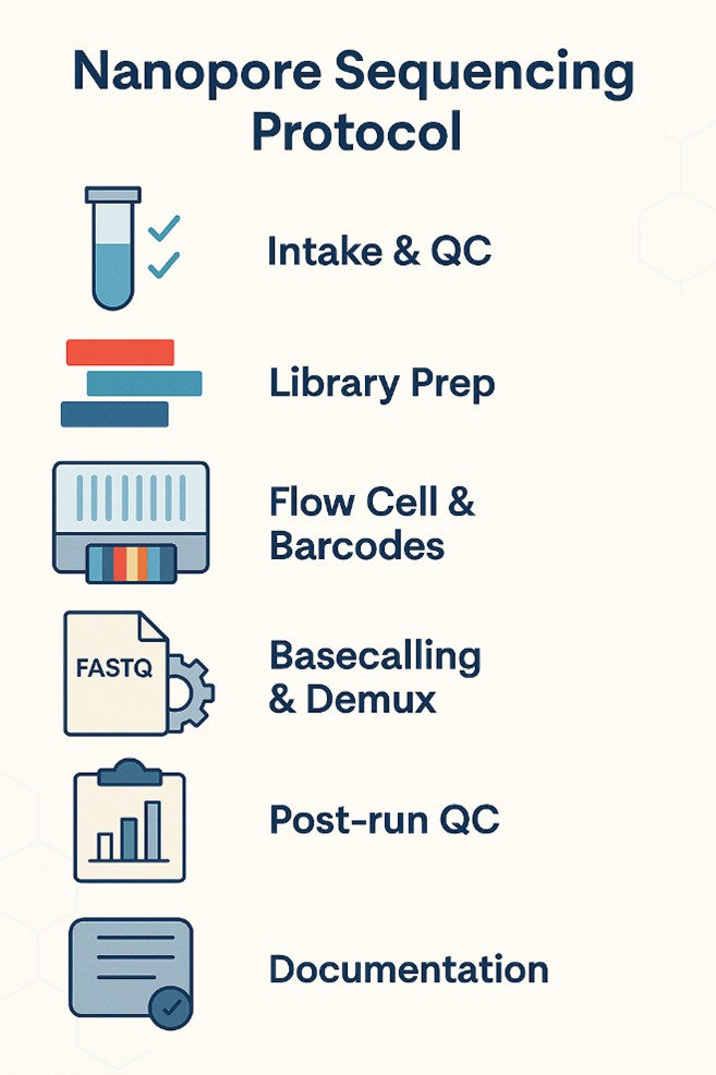 Infographic showing six steps of the Nanopore Sequencing Protocol with icons for Intake & QC, Library Prep, Flow Cell & Barcodes, Basecalling and Demux, Post-run QC, and Documentation.