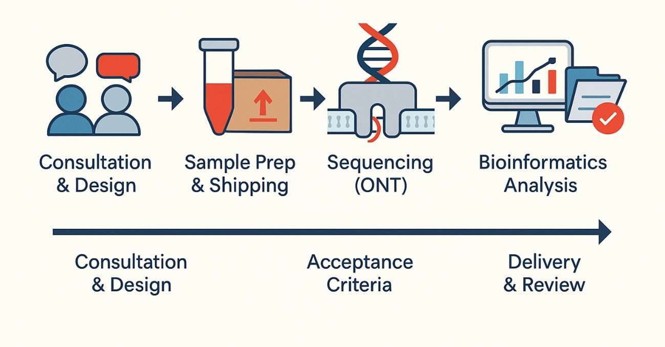 Project workflow for Oxford Nanopore sequencing showing five steps with icons: Consultation & Design, Sample Prep & Shipping, Sequencing (ONT), Bioinformatics Analysis, and Delivery & Review.