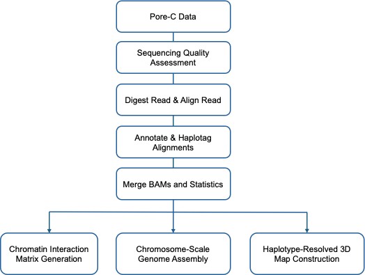 Pipeline for bioinformatics analysis in whole genome sequencing.