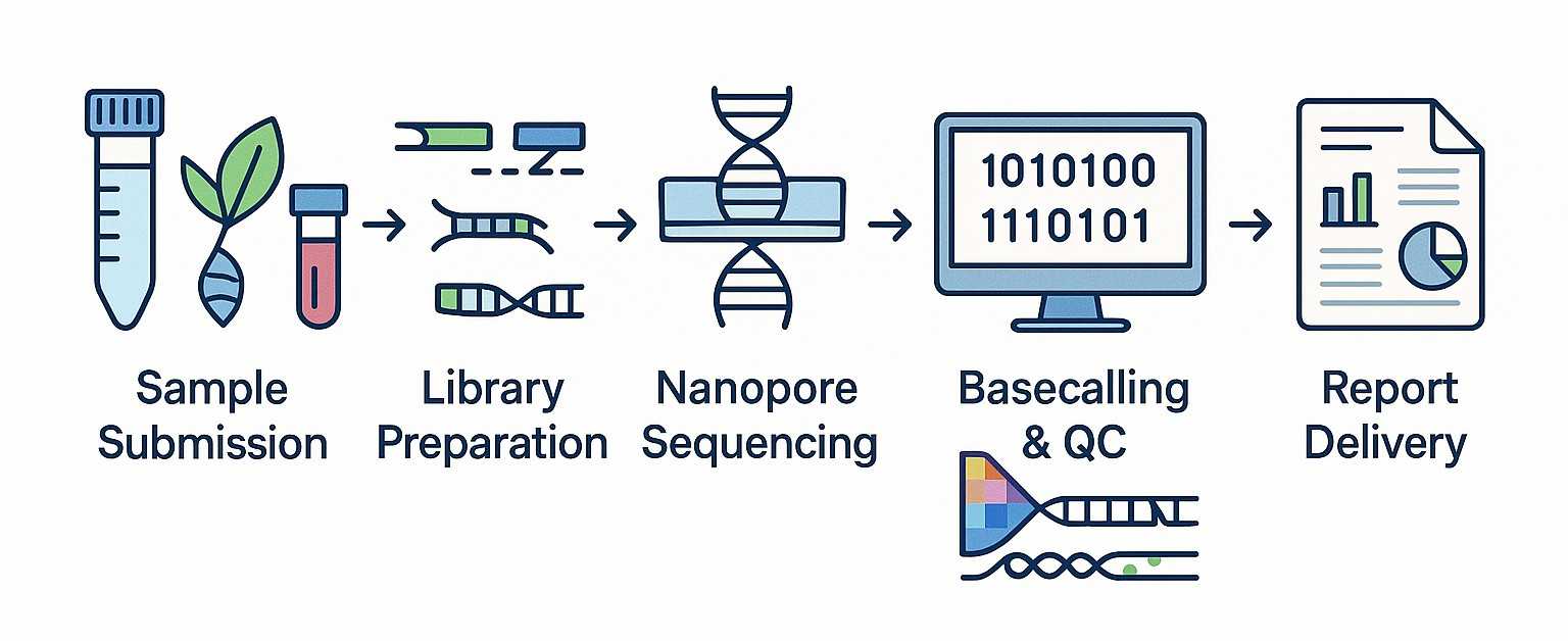 Pore-C sequencing workflow from sample submission to data analysis and report delivery