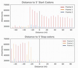 Ribosomal P-site Analysis