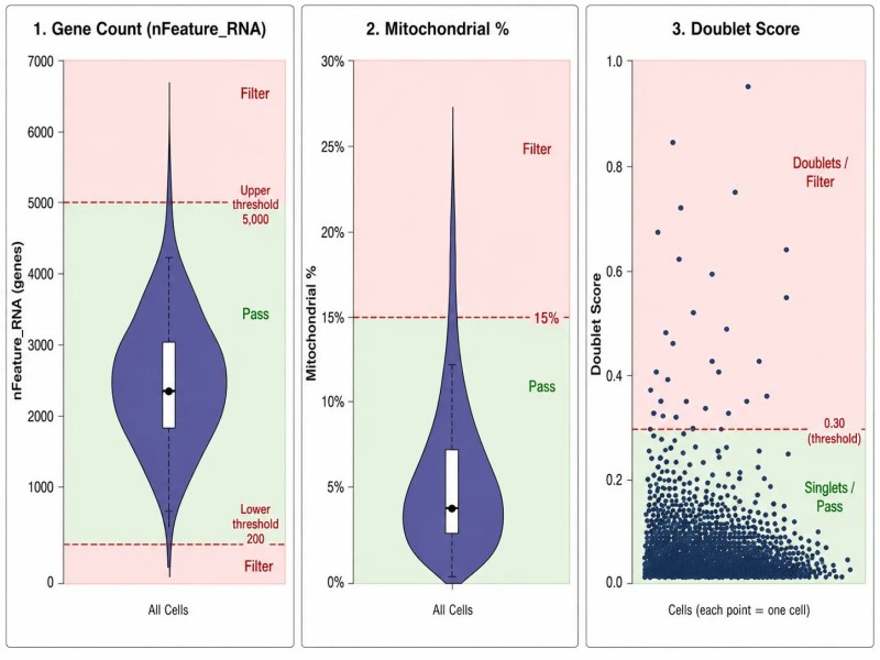 scRNA-seq QC Filtering Thresholds
