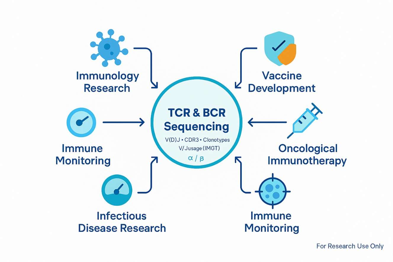 TCR and BCR sequencing applications shown as a hub-and-spoke diagram linking to Immunology, Infectious Disease, Vaccine Development, Oncological Immunotherapy, and Immune Monitoring.